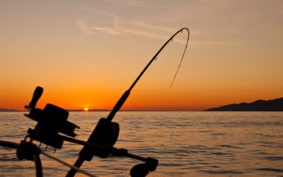 Basic Tips and Tricks for Fishing Beginners